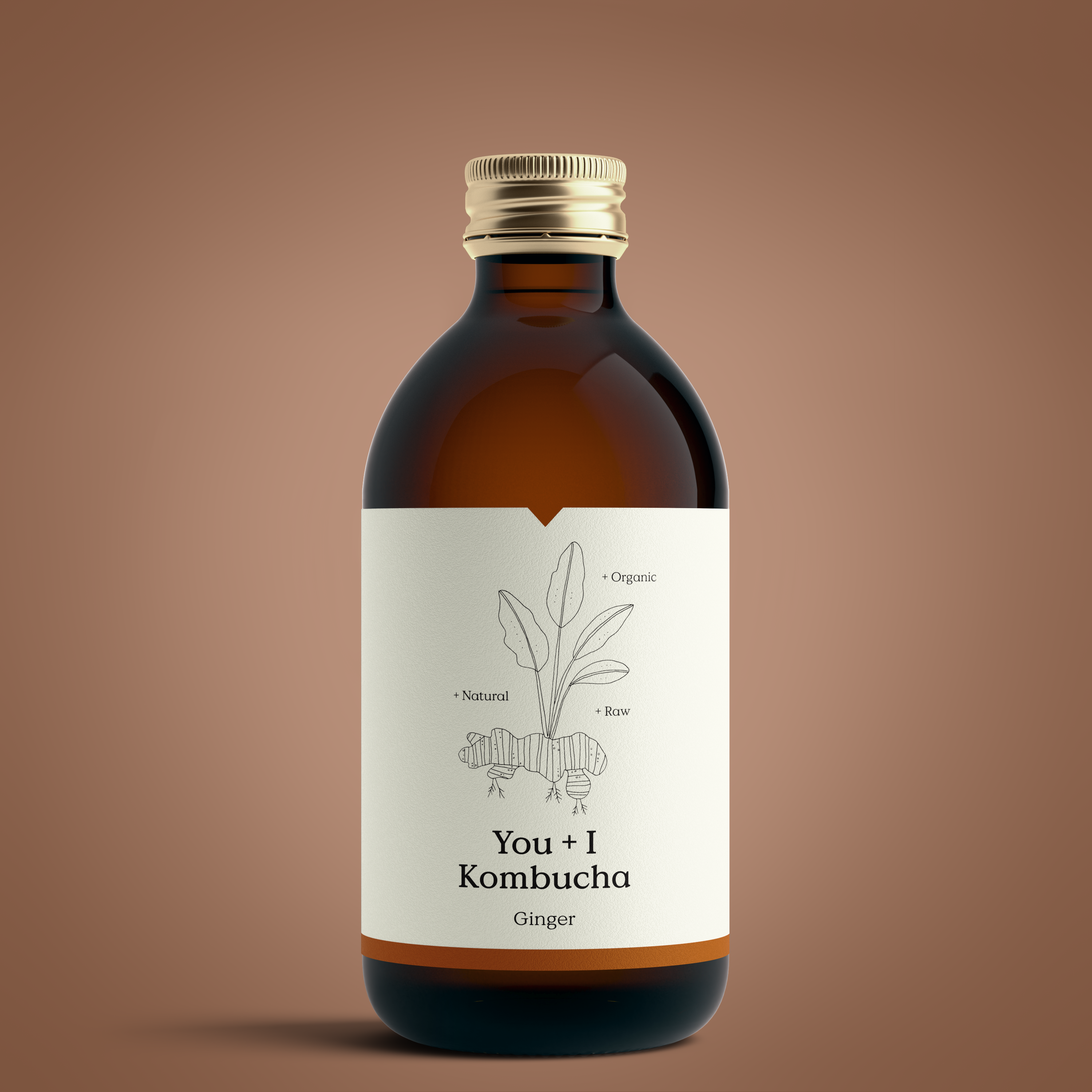 Kombucha x 12