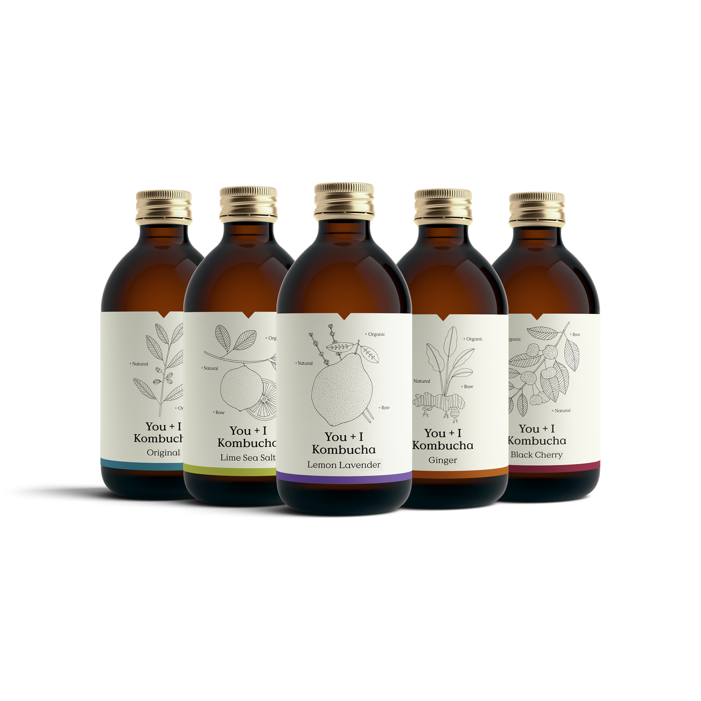 Kombucha Case