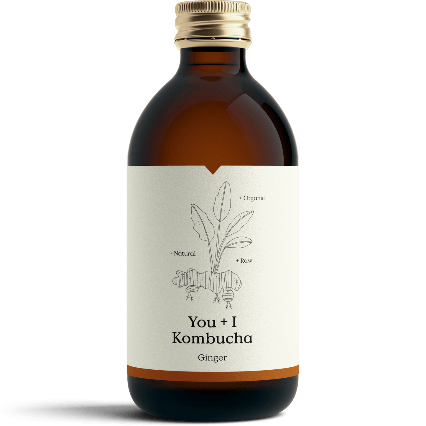 Kombucha - Ginger - You + I