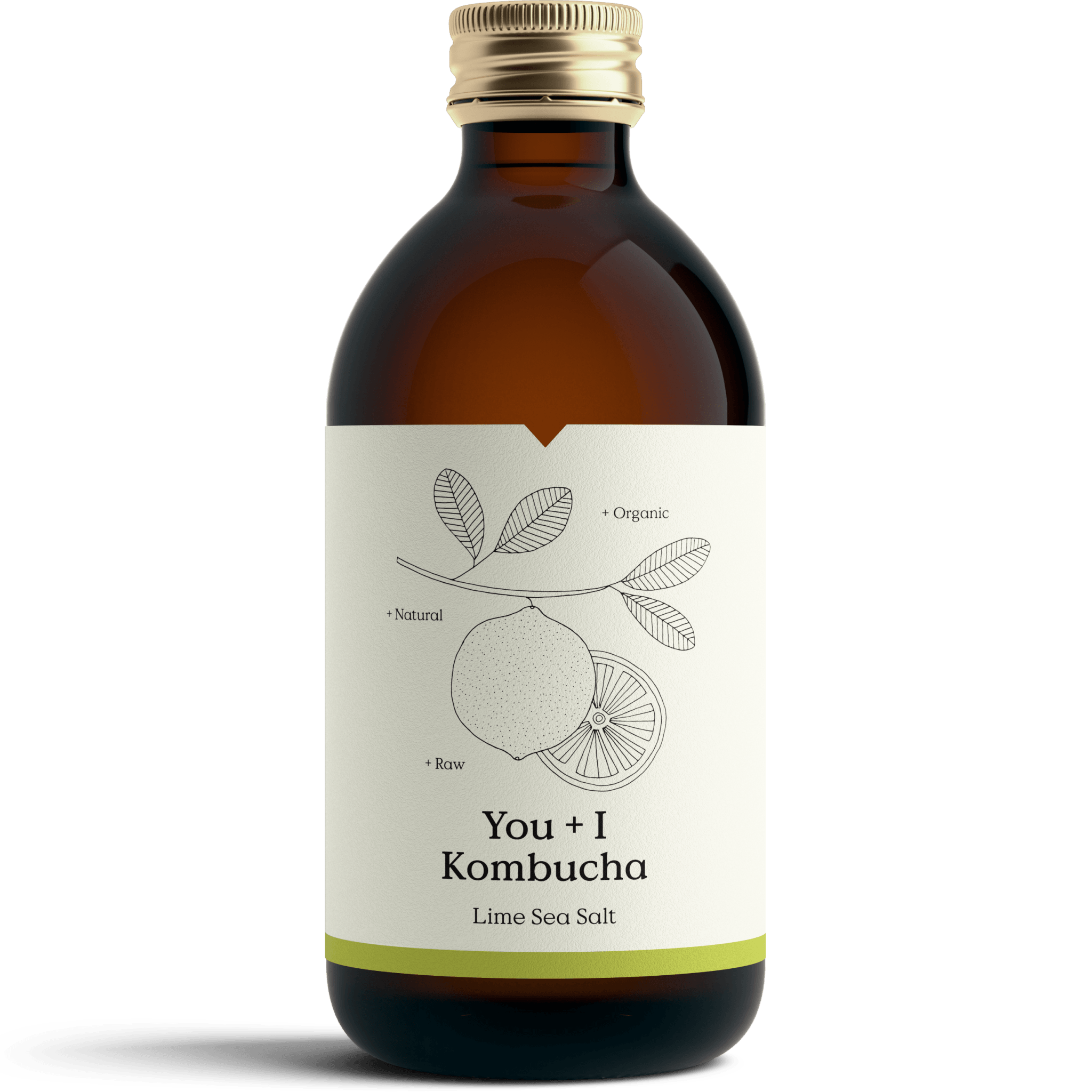 Kombucha - Lime Sea Salt - You + I