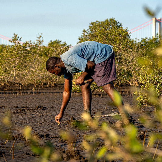 Your Order Plants a Tree 🌱 - You + I