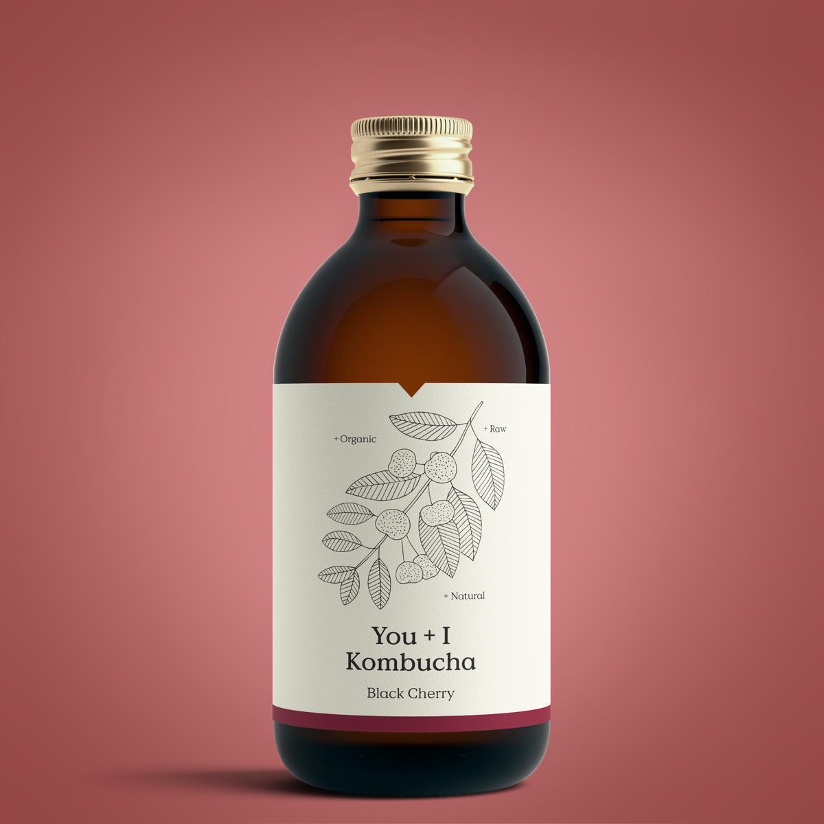 Bottle of You + I Black Cherry kombucha