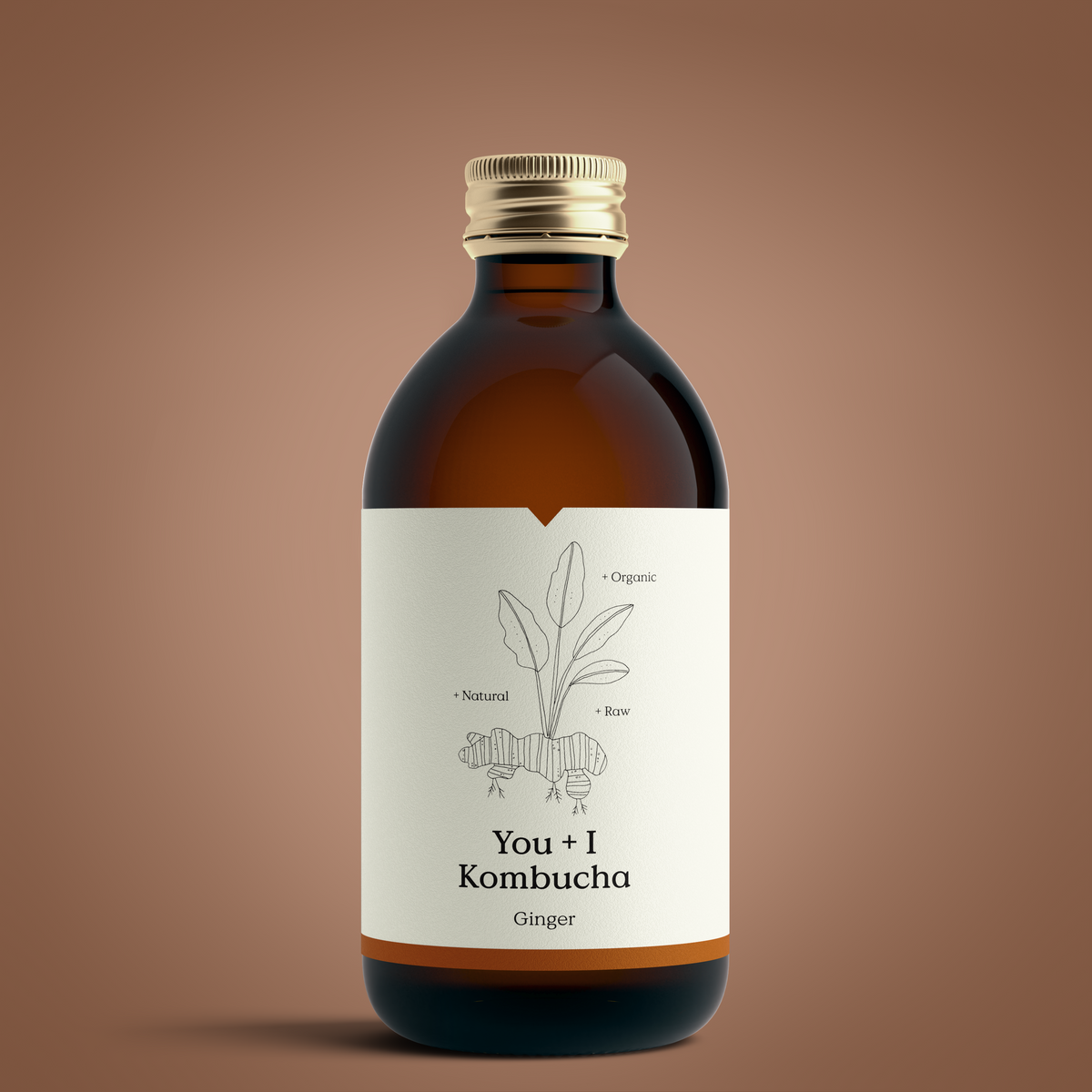 Bottle of You + I Ginger kombucha