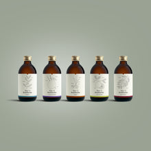 Load image into Gallery viewer, Kombucha x 12
