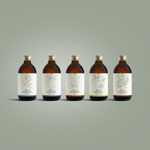 Kombucha x 12