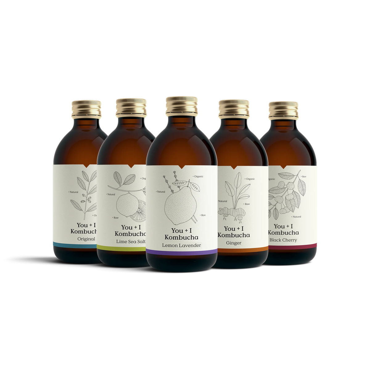 You + I kombucha case, five flavours in 330ml glass bottles