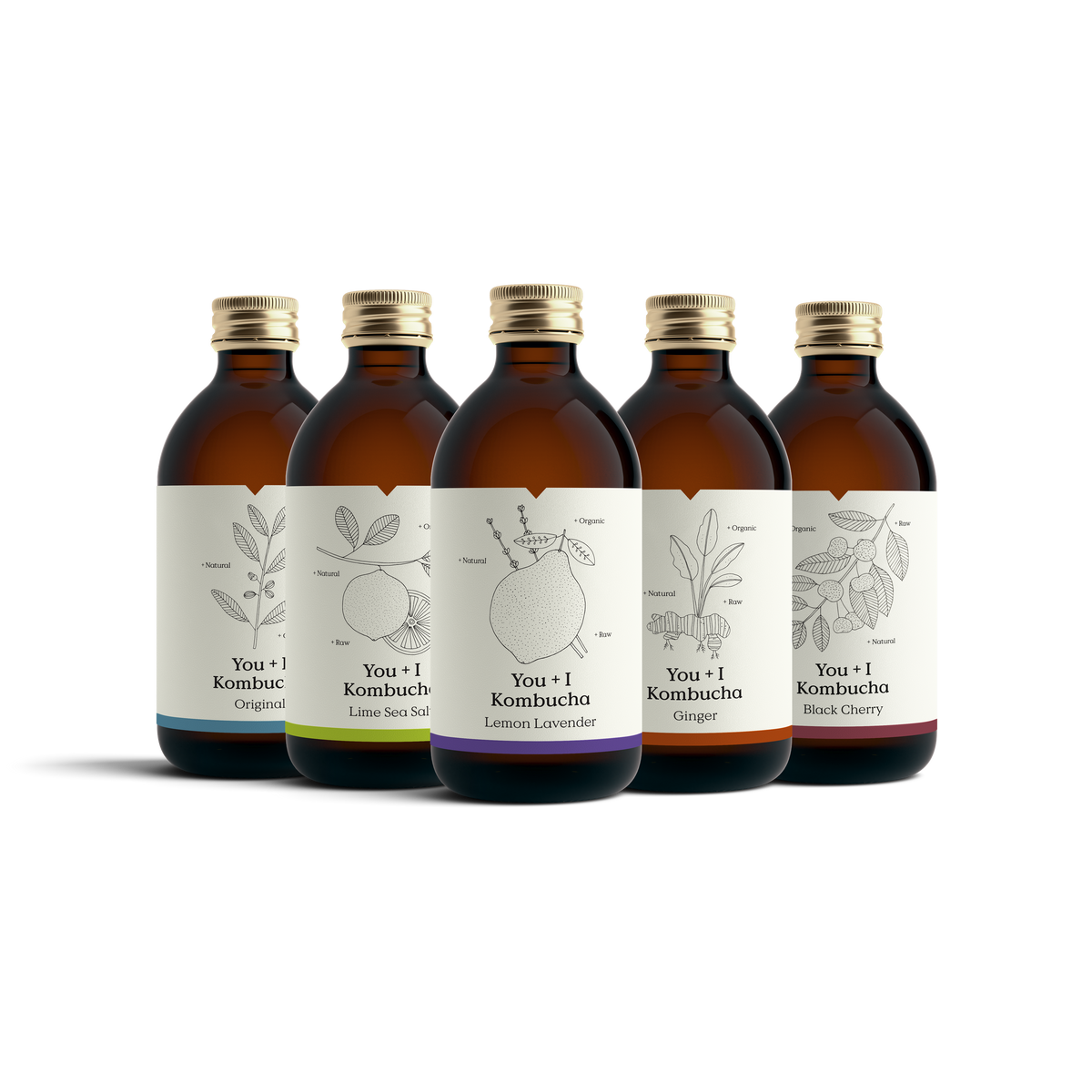 Five bottles of You + I organic kombucha