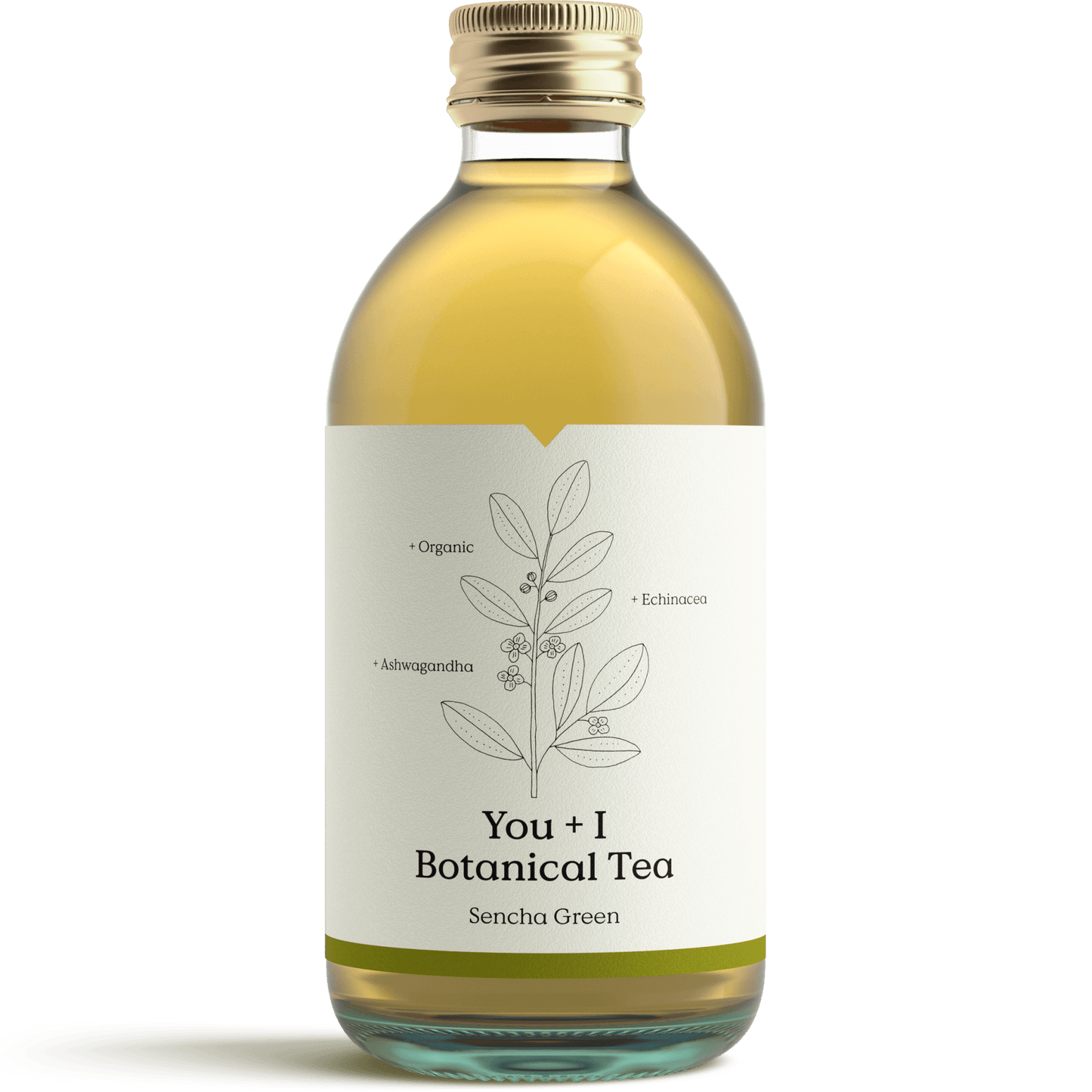 Botanical Tea - Sencha Green - You + I