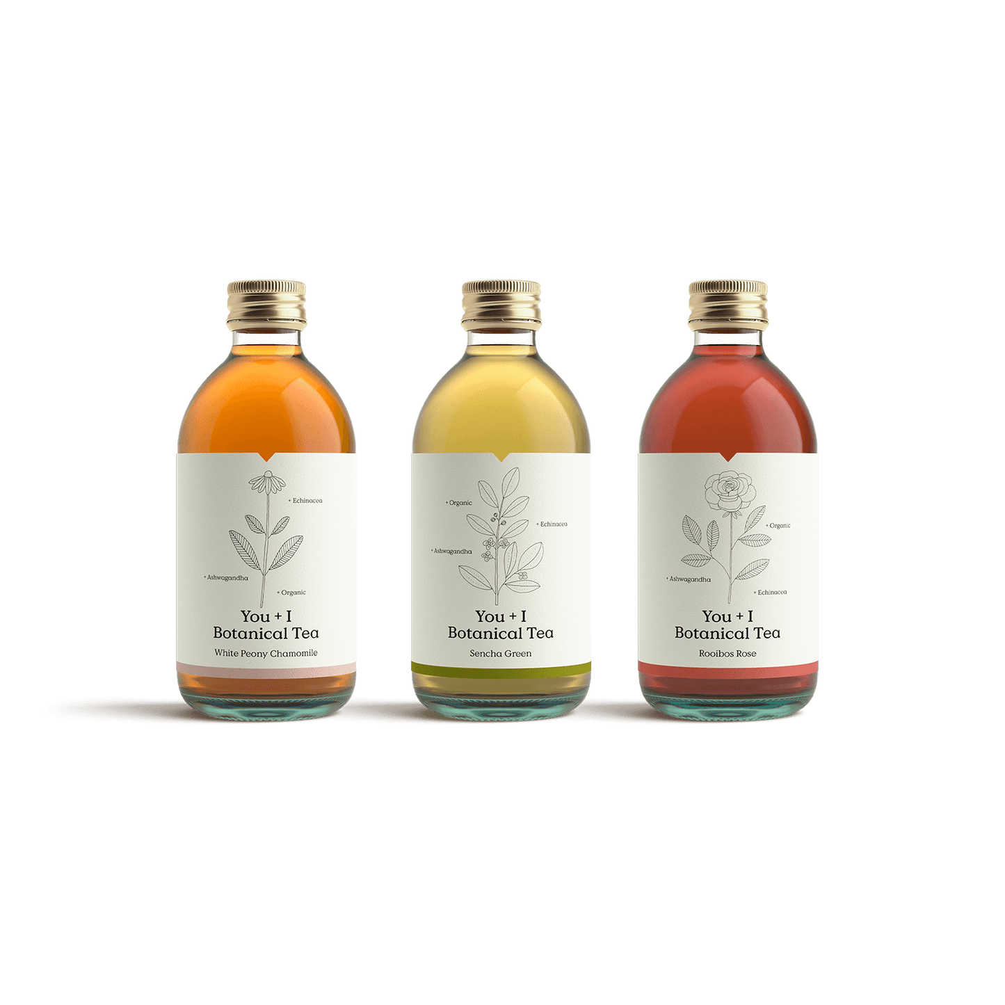 Case of 12 - You + I