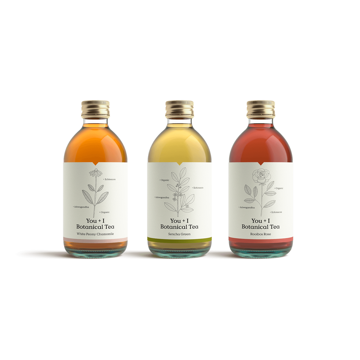 Case of 12 - You + I