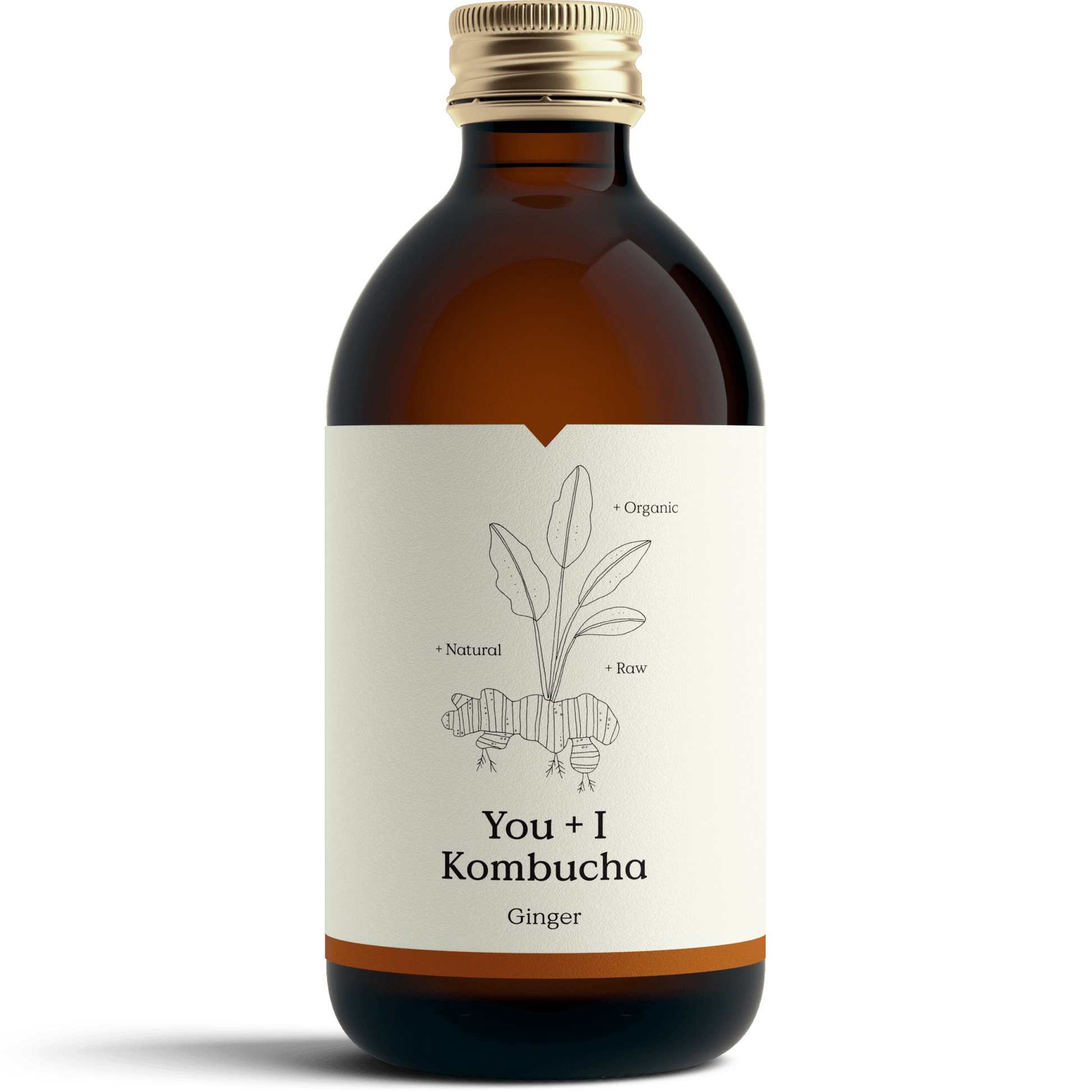 Kombucha - Ginger - You + I