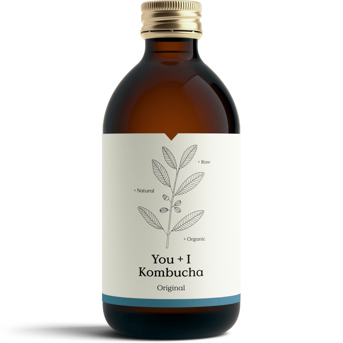 Kombucha - Original - You + I